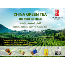 Порох чай, chunmee зеленый чай, китайский порох чай 9375